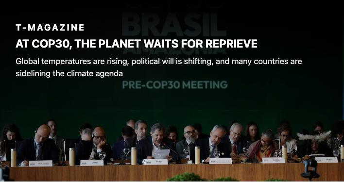 Screenshot 2025-11-12 at 12.42.32 PM