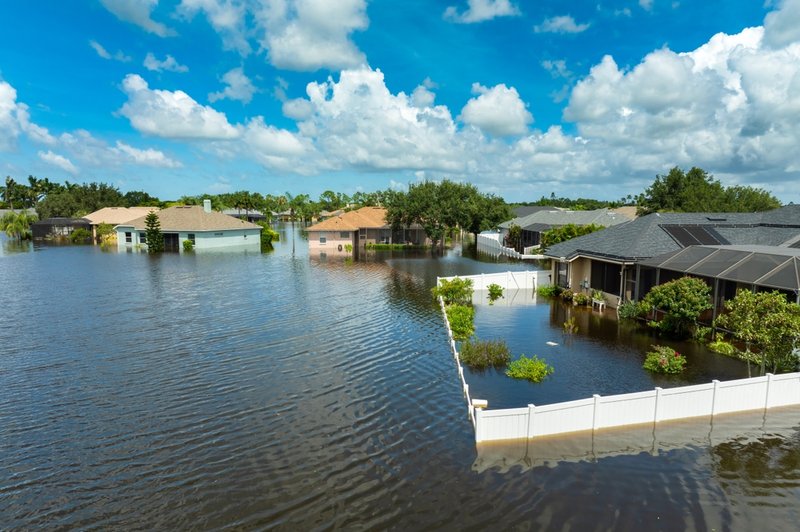 shutterstock_2530375841.width-800